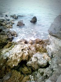 Rocks on sea shore