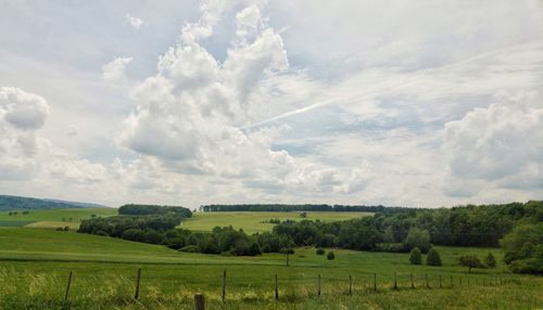 Scenic view of field against sky