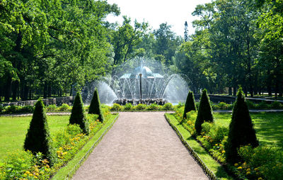 Peterhof park