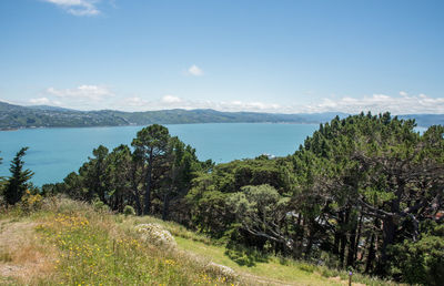 Scenic view of sea and trees against sky