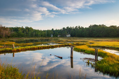 View of birds on lake against sky