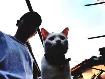 Low angle view portrait of cat by white against sky