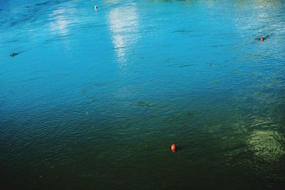 High angle view of people swimming in sea