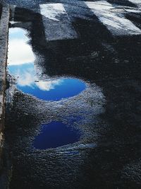 Reflection of tree in puddle