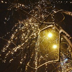 Low angle view of illuminated christmas tree at night