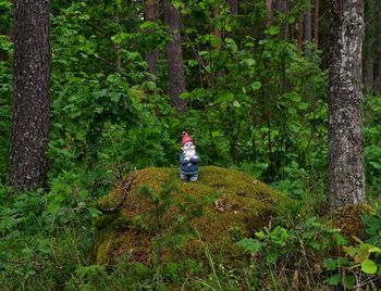 Full length of man sitting in forest