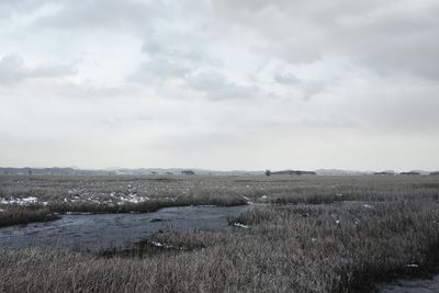 Scenic view of field against sky during winter