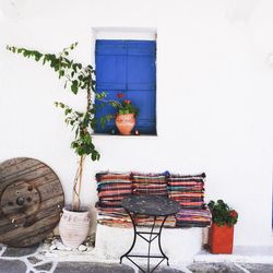 Potted plant on table by wall of building