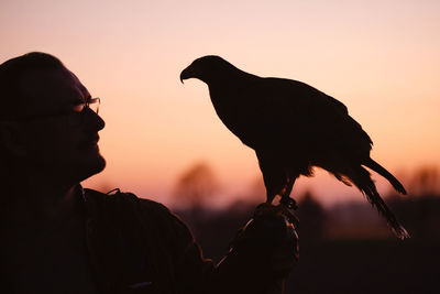 Silhouette of man and wild bird over sunset sky looking on each other buzzard or eagle symbol of