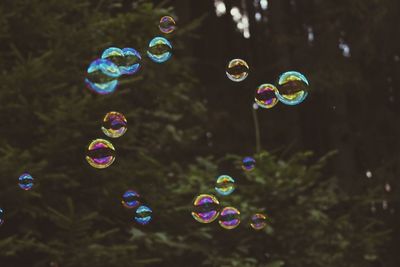 Bubbles floating against trees