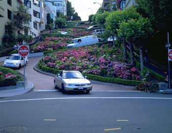 Car on street in city