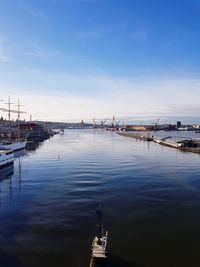 Sailboats moored on harbor in city against sky