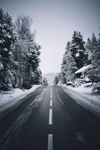 Empty road along trees in winter