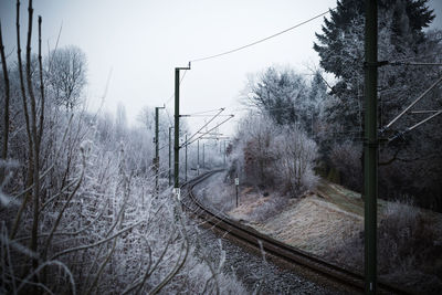 Railroad track amidst trees against sky during winter