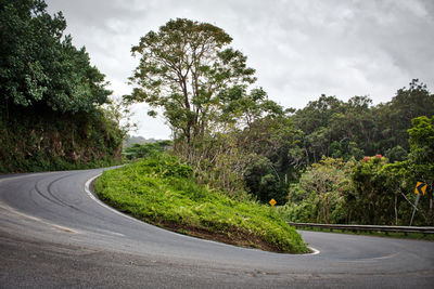 Empty road amidst trees against sky