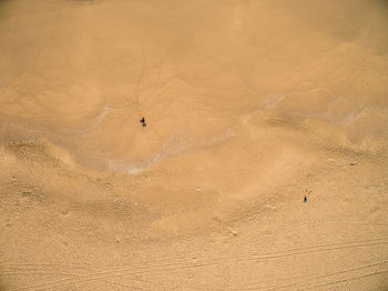 High angle view of sand dune