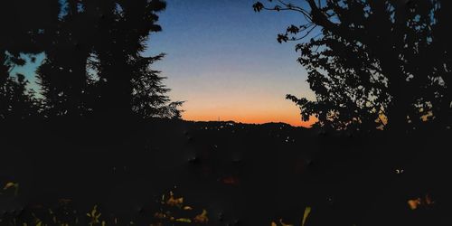 Silhouette trees against sky during sunset