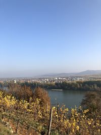 Scenic view of landscape against clear blue sky