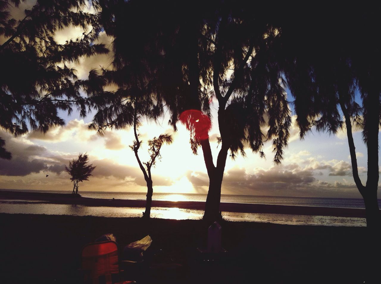 water, sunset, sea, horizon over water, tree, tranquility, sky, tranquil scene, silhouette, beach, scenics, beauty in nature, sun, nature, tree trunk, shore, sunlight, idyllic, palm tree, cloud - sky