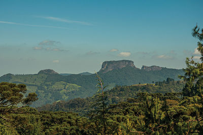 Panoramic view of forest and peak known as bau peak, near campos do jordao, brazil