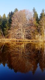 Reflection of trees in lake against sky