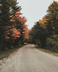 Road passing through forest