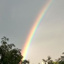 rainbow