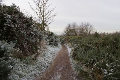 Trail amidst trees on field against sky