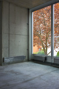 Window of abandoned building