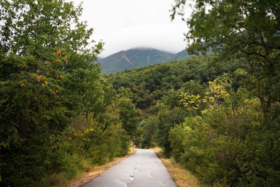 Road amidst trees against sky