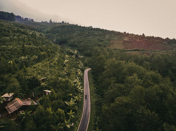 High angle view of road amidst plants against sky