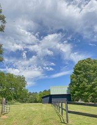 Scenic view of trees on field against sky