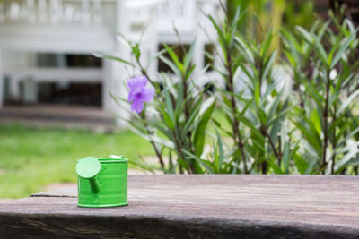 Close-up of purple flower on table