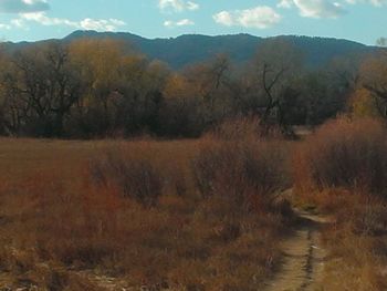 Scenic view of landscape against sky during autumn