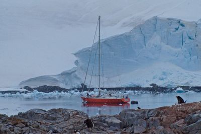 Sailboat at anchor in an ice-laden, rocky cove in antarctica, during snowfall. penguins looking on.
