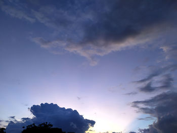 Low angle view of silhouette trees against sky