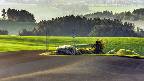 Scenic view of trees on field against sky