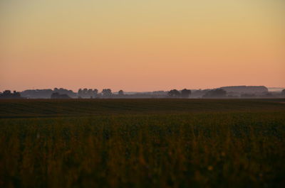 Scenic view of field against clear sky at sunset