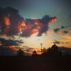 Silhouette of trees against dramatic sky