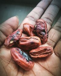 Close-up of hand holding bread