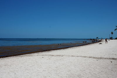 Scenic view of beach against clear blue sky