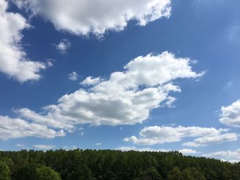 Low angle view of trees against sky