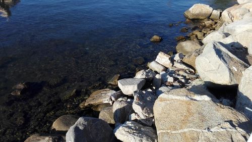 Pebbles on beach