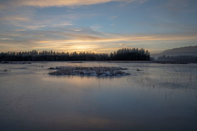 Winter on a bog