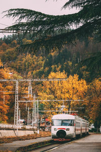 Car on road by trees against sky during autumn