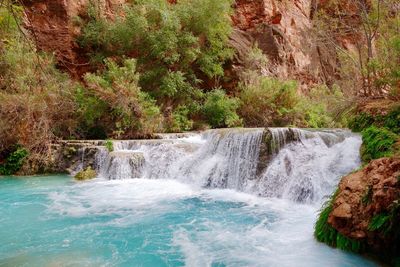 View of waterfall in forest