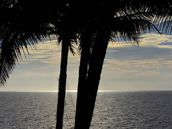 Silhouette palm tree by sea against sky at sunset