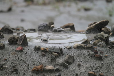 Mud volcano 