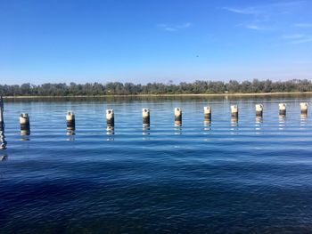 Wooden posts in lake against blue sky