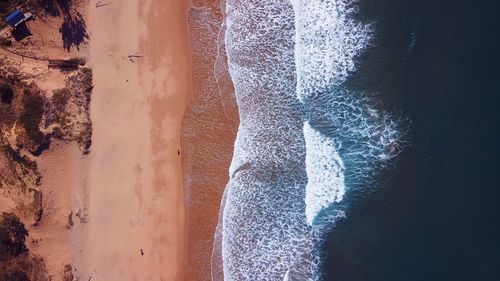 Close-up of sea shore